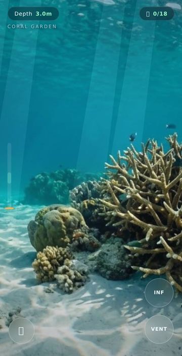 Abyss Scuba - The coral garden at 3.4 m