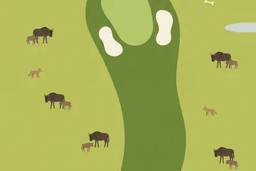Serengeti