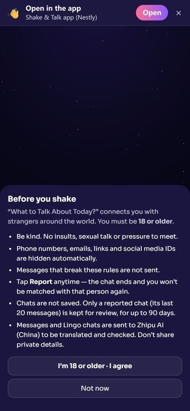 What to Talk About Today? - Once at the start: the 18+ check and the rules